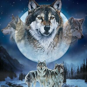 Team Page: Wolf Pack